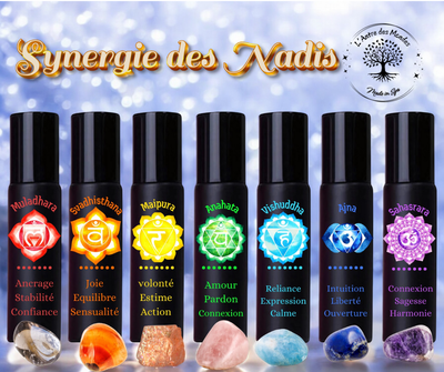 Les synergies des Nadis
