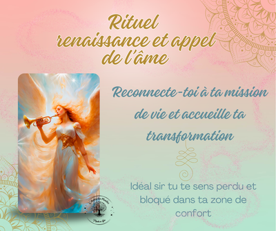 Rituel renaissance et appel de l'âme - fiches et méditations Rituel renaissance et appel de l'âme - fiches et méditations