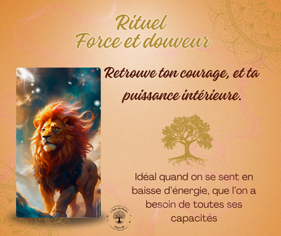 Rituel force et douceur - fiches et méditation Rituel force et douceur - fiches et méditation