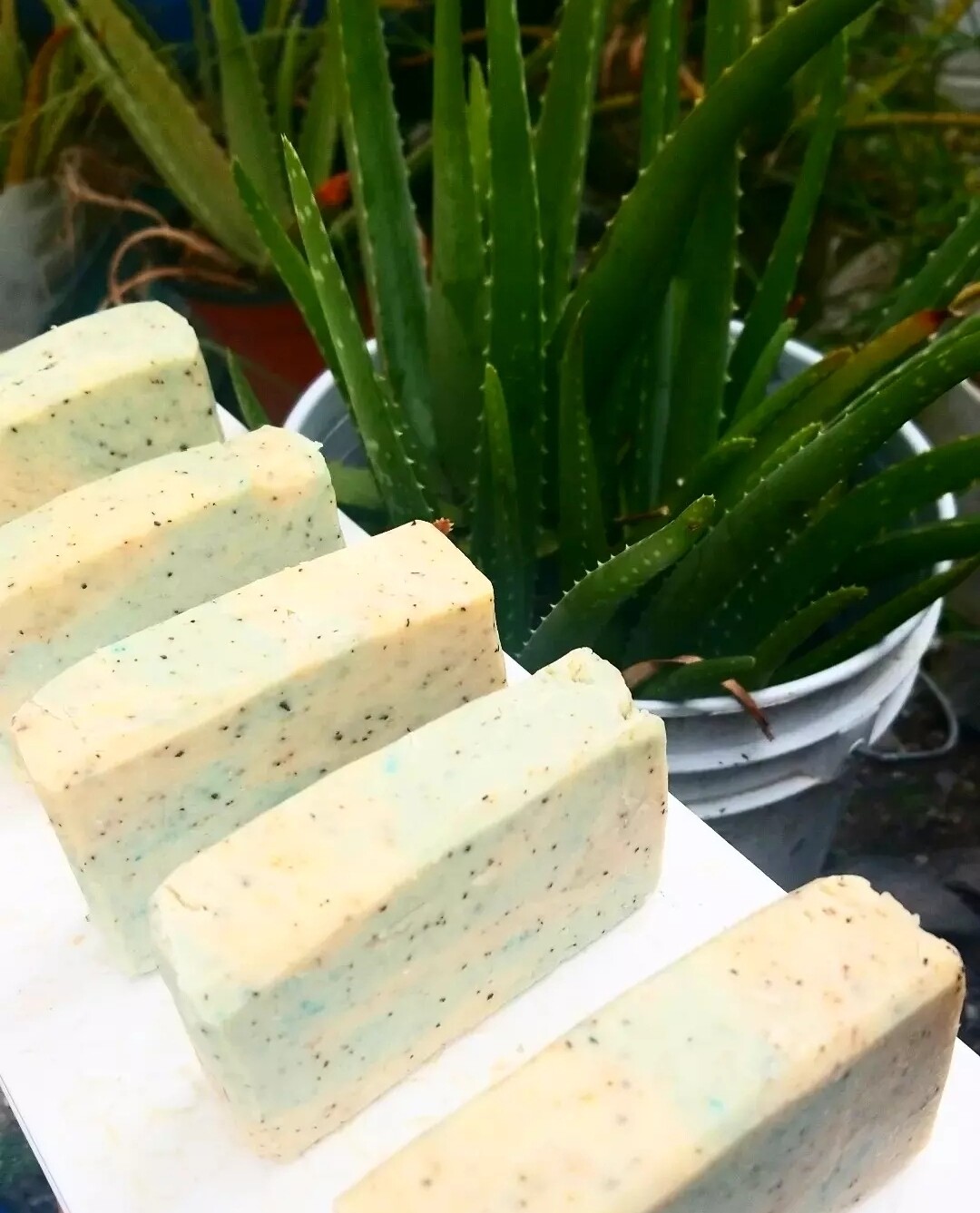 Neem and Aloes Soap