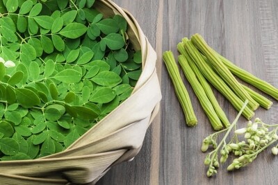 Moringa Tea
