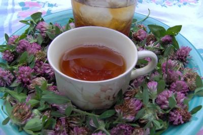 Red Clover Tea