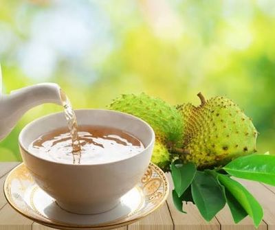 Soursop Tea
