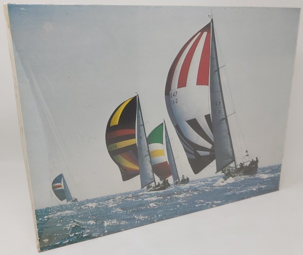 Puzzle International Team pezzi 1500