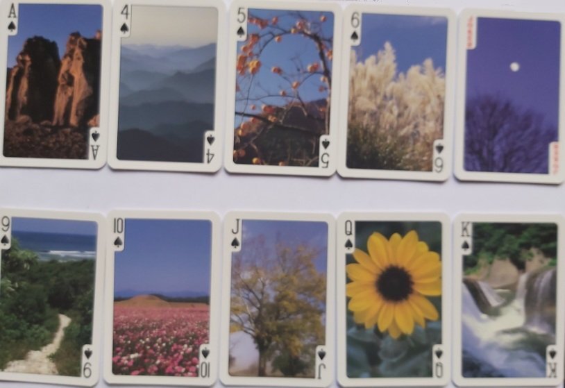 Mazzo di Carte da Poker Souvenir The Four Seasons in Japan Piatnik  1981