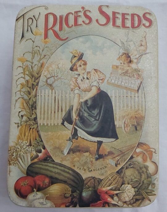 Scatola di Latta Tin Box Try Rice's Seeds Vintage