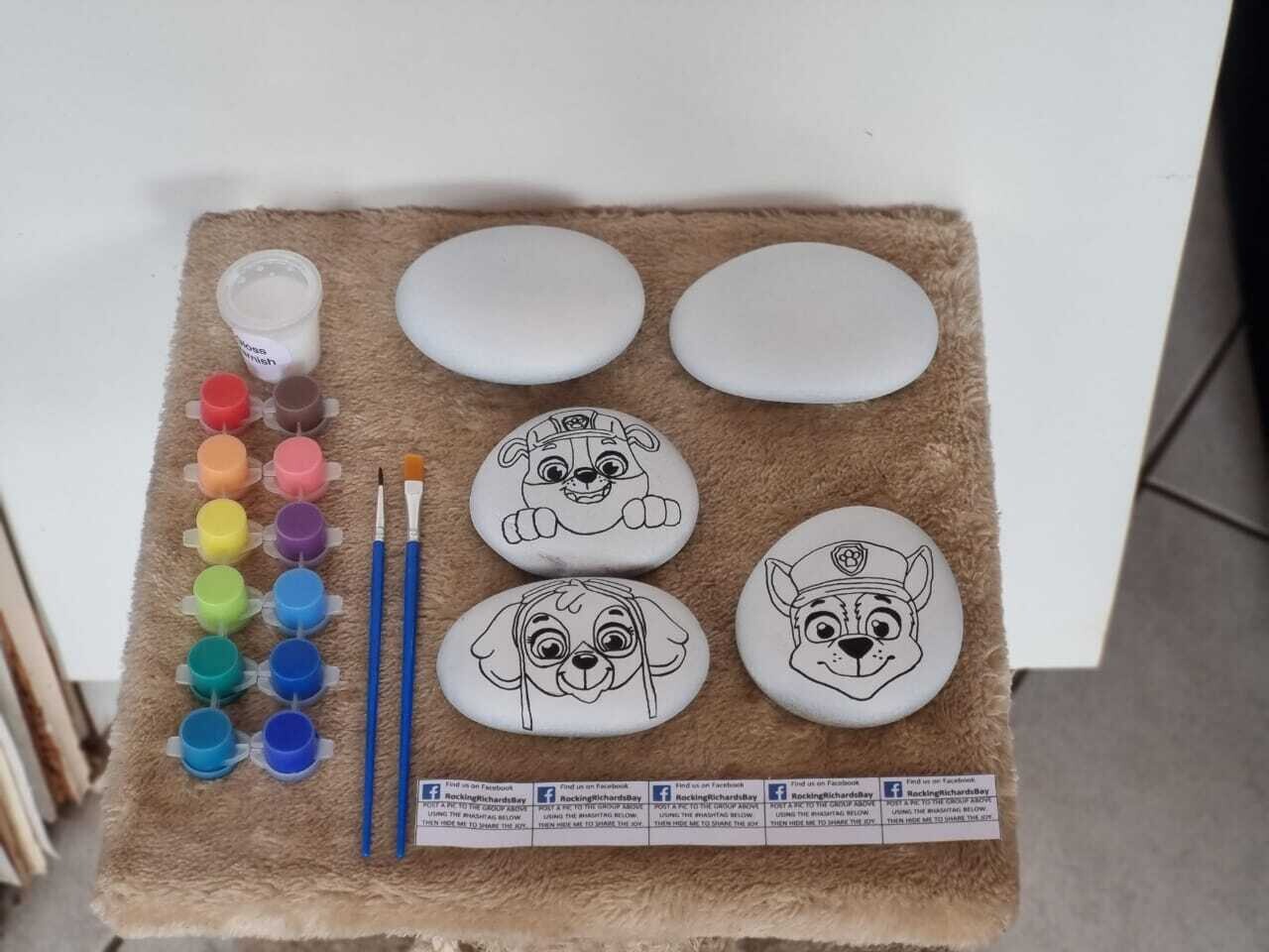 Rock Painting Kit