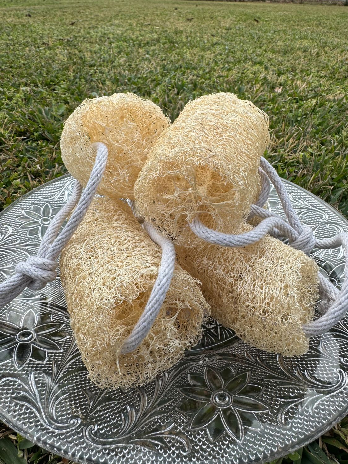Natural Loofah Scrubby