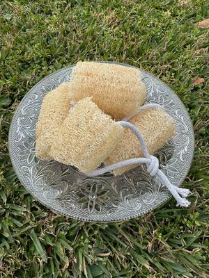 Natural Loofah Scrubby