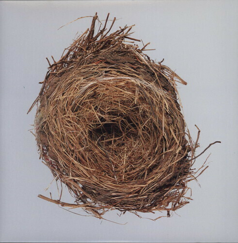 Wilco / A Ghost is Born