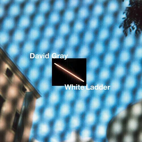 David Gray / White