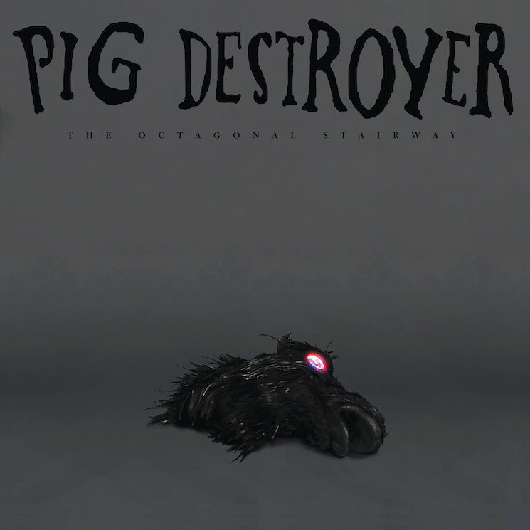 Pig Destroyer / Octagonal