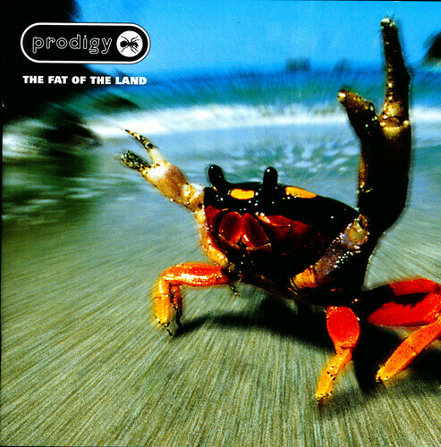 Prodigy Fat Of The Land