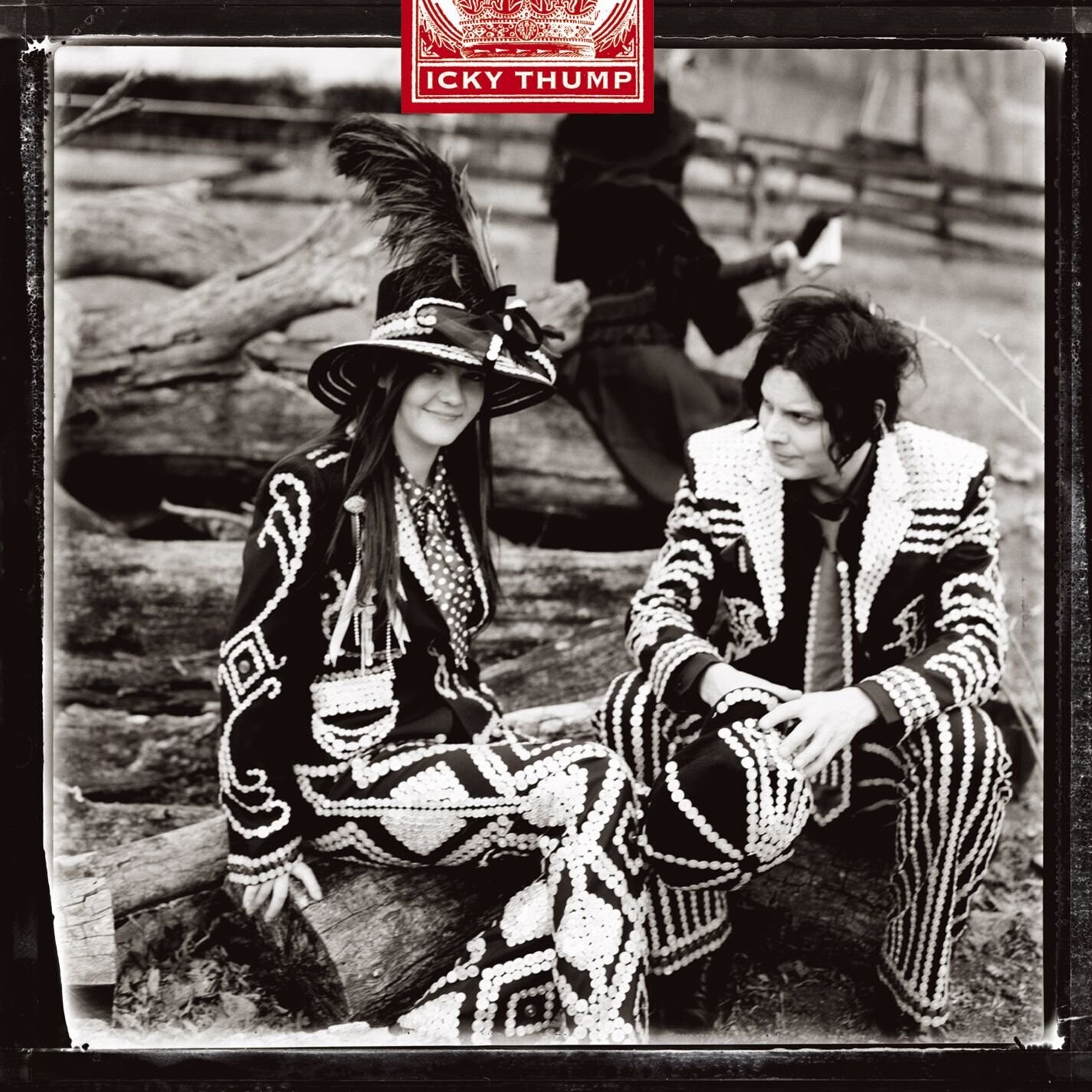 The White Stripes / Icky Thump (Import)