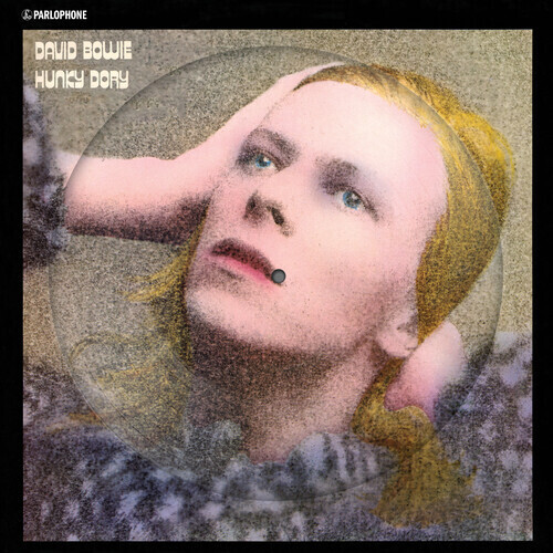 David Bowie / Hunky Dory (2015 Remaster Picture Disc)