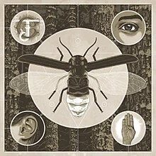 Jerry Cantrell / Brighten (Import)