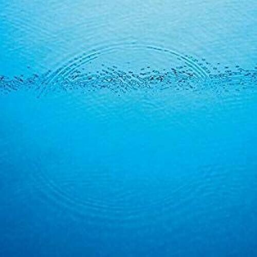 Caribou / Suddenly