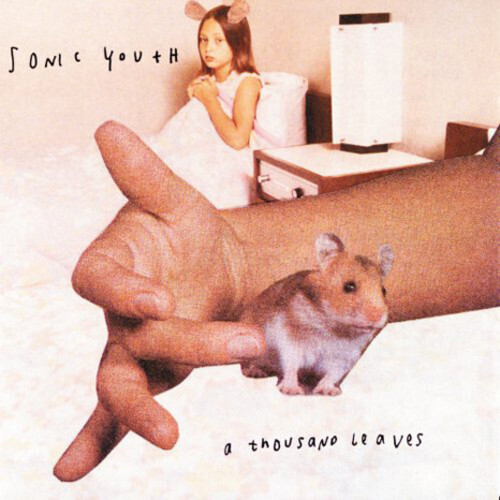 Sonic Youth / A Thousand Leaves