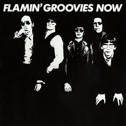 Flamin&#39; Groovies / Now