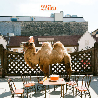 Wilco / The Album