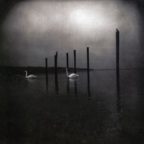 Om / Conference of the Birds