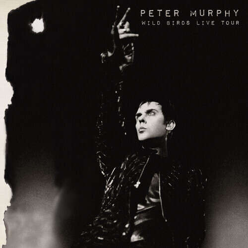 Peter Murphy / Wild Birds Live Tour