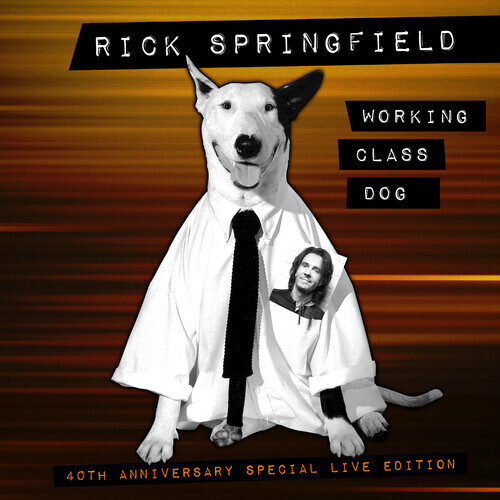 Rick Springfield / Working Class Dog