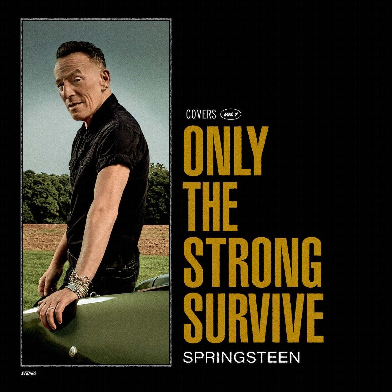 Bruce Springsteen / Only The Strong Survive