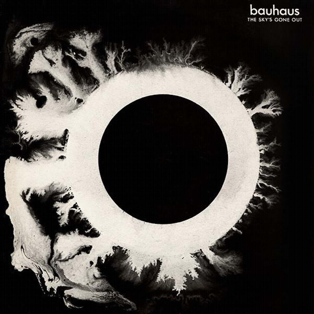 Bauhaus / The Sky&#39;s Gone Out