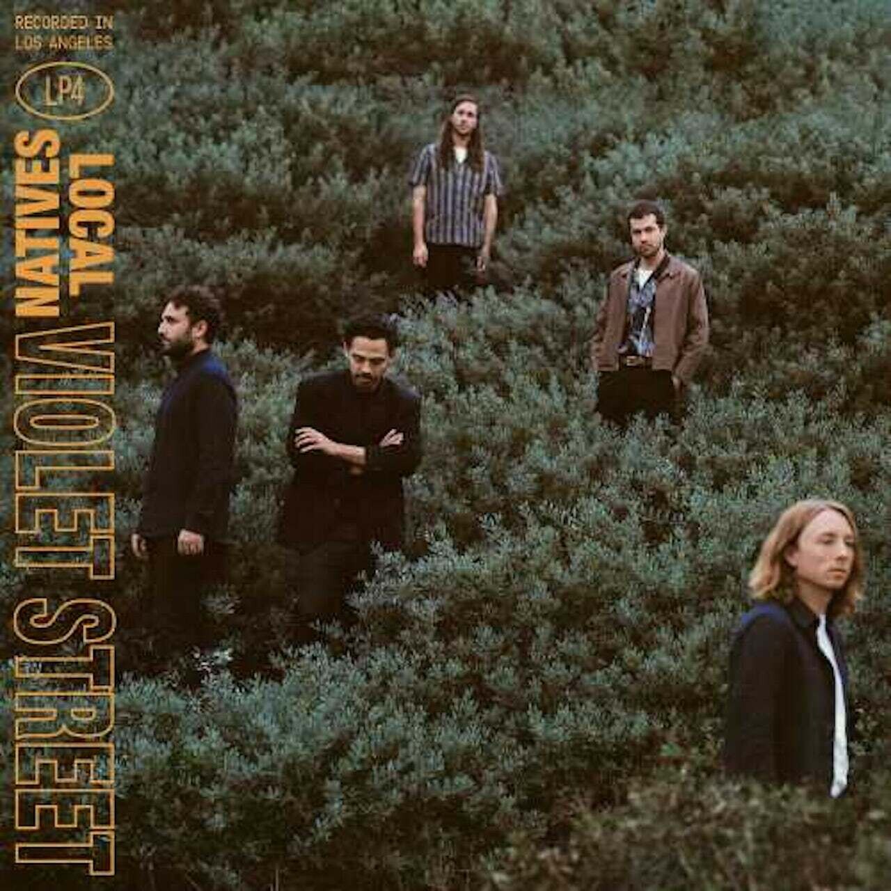 Local Natives / Violet Street