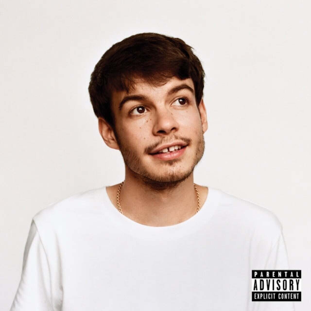 Rex Orange County / Pony