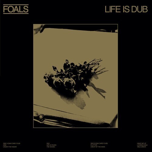 RSD23 - Foals / Life Is Dub