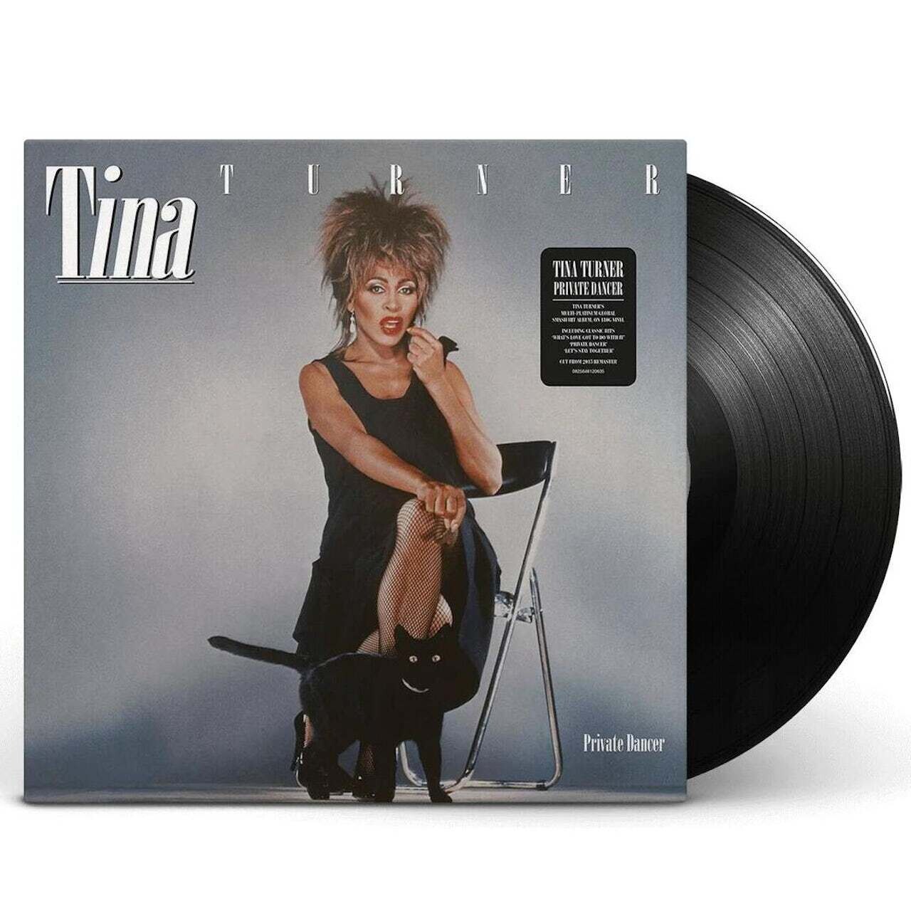 Tina Turner / Private Dancer