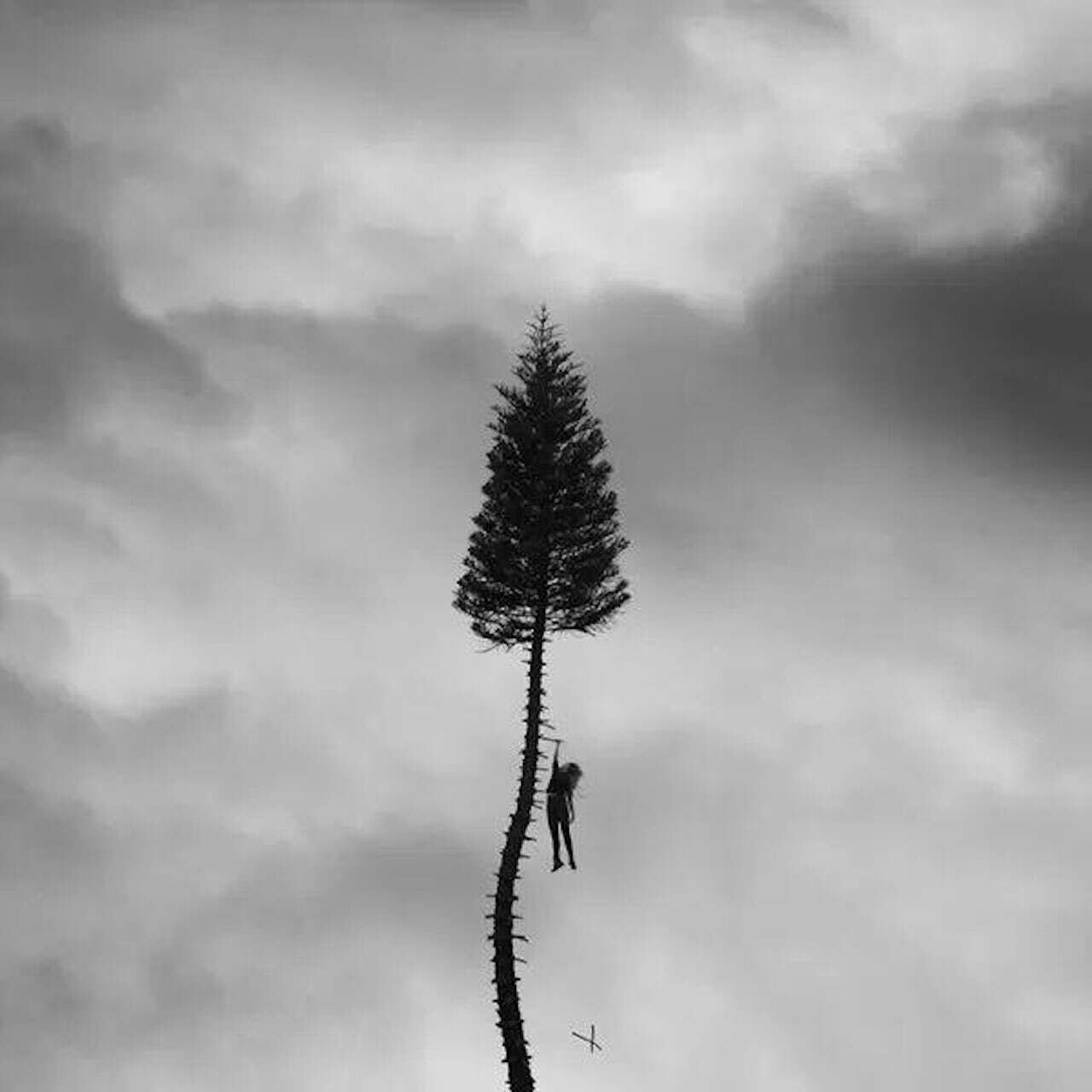 Manchester Orchestra / A Black Mile To The Surface