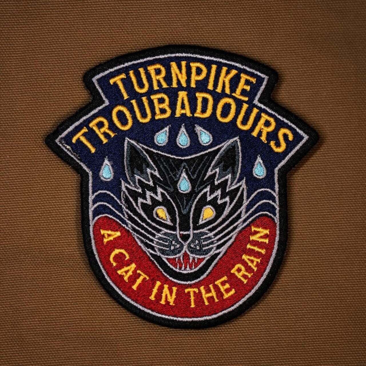 Turnpike Troubadours / A Cat In The Rain Indie Exc.