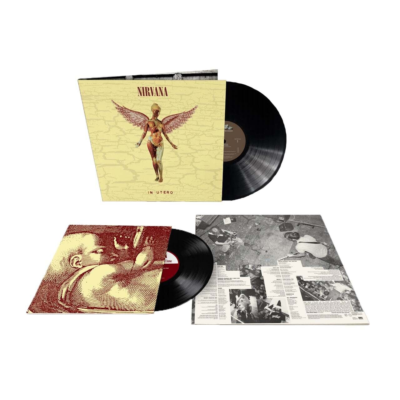 Nirvana / In Utero 30th Anniversary Edition
