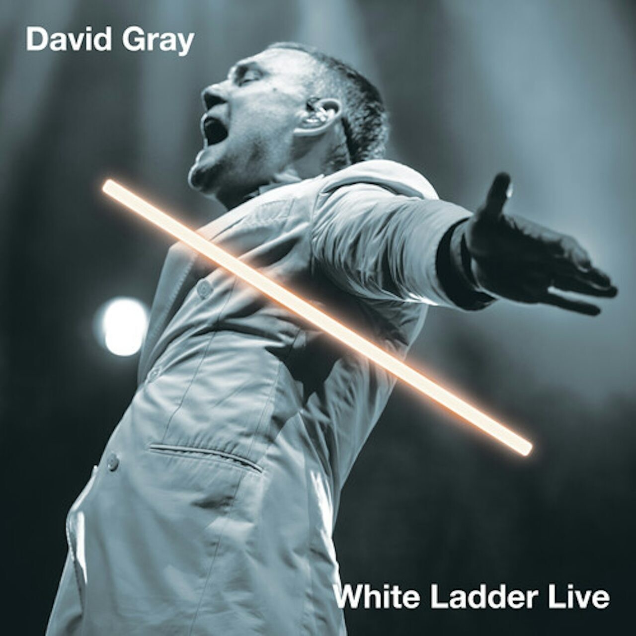 David Gray / White Ladder Live