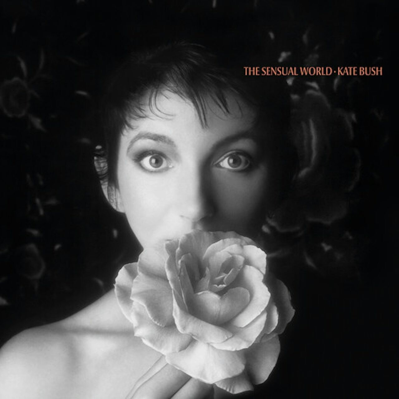 Kate Bush / The Sensual World Ash Grey Vinyl