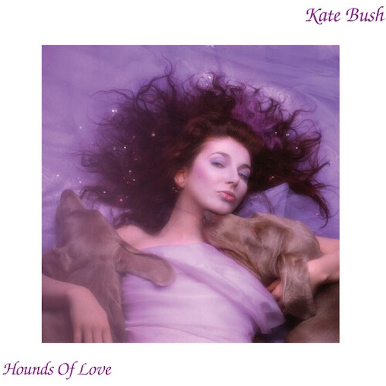 Kate Bush / Hounds Of Love Raspberry Indie Edition