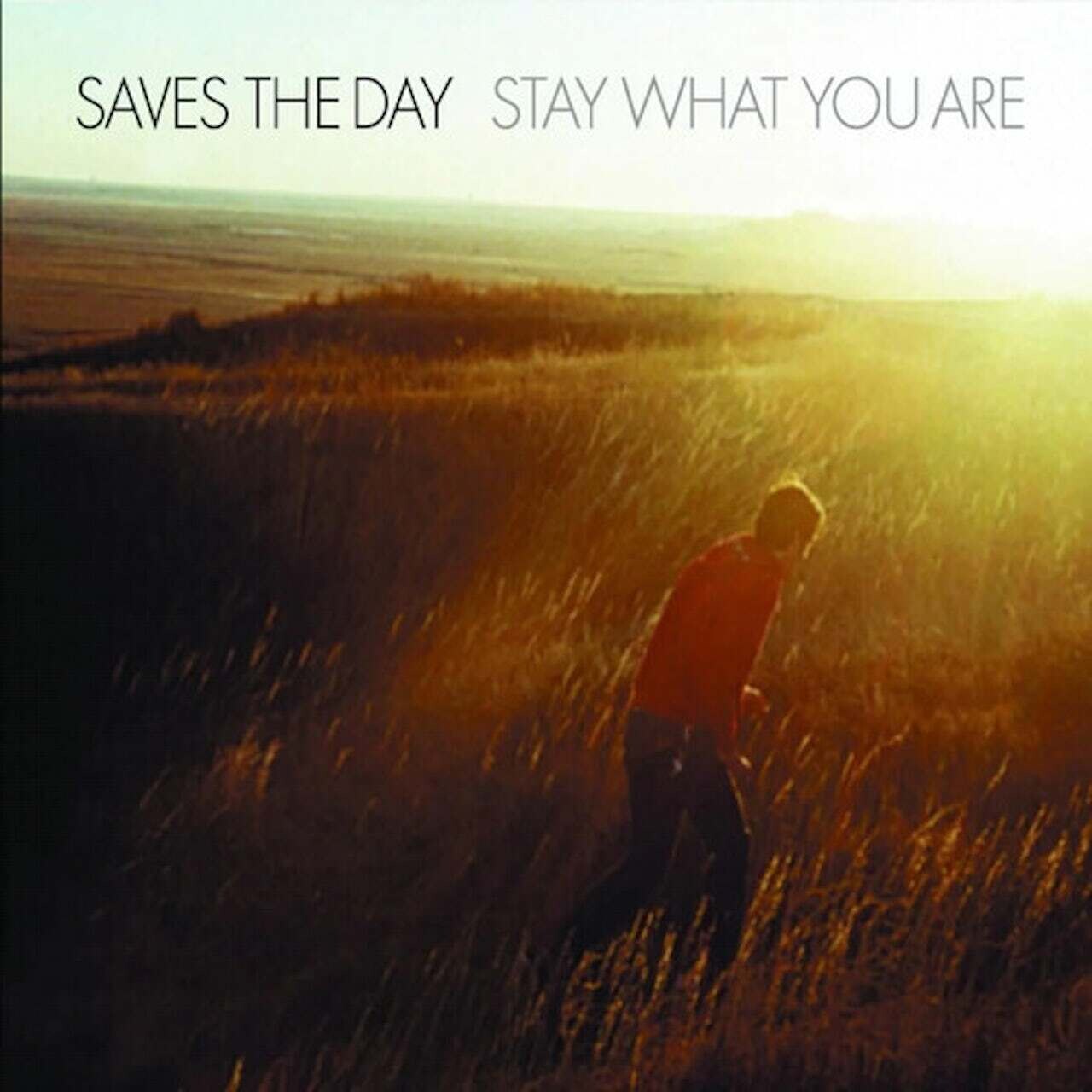 Saves The Day / Stay What You Are