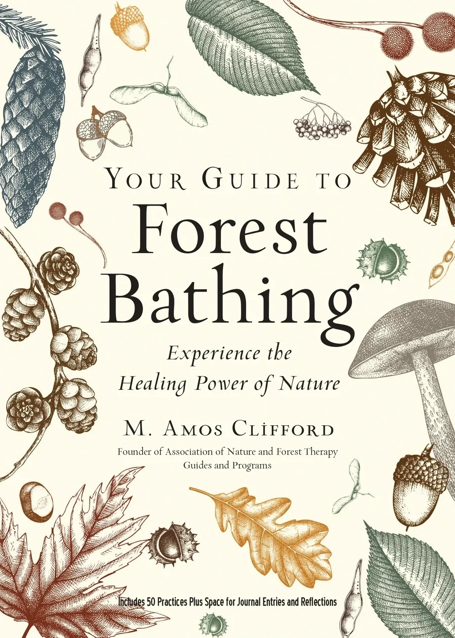 Guide to Forest Bathing