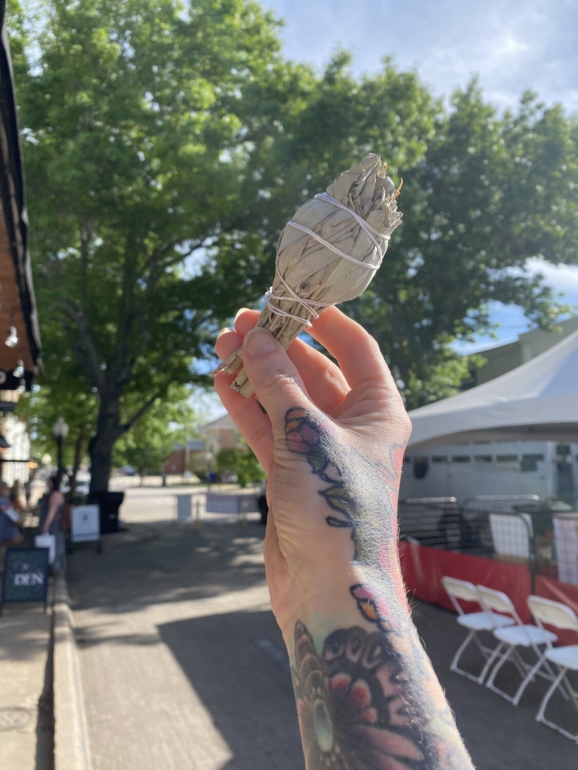 White Sage Mini