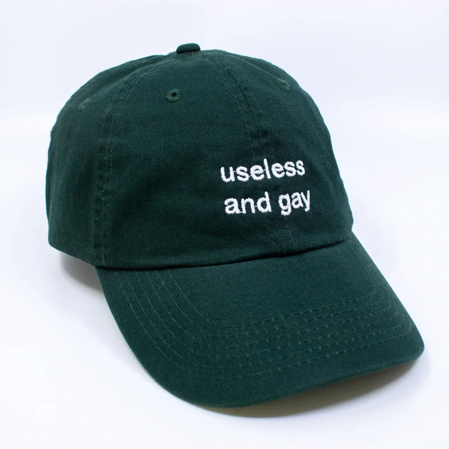 Useless And Gay Hat