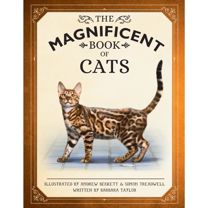 The Magnificent Book Of Cats