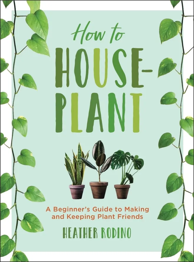 How To House Plant
