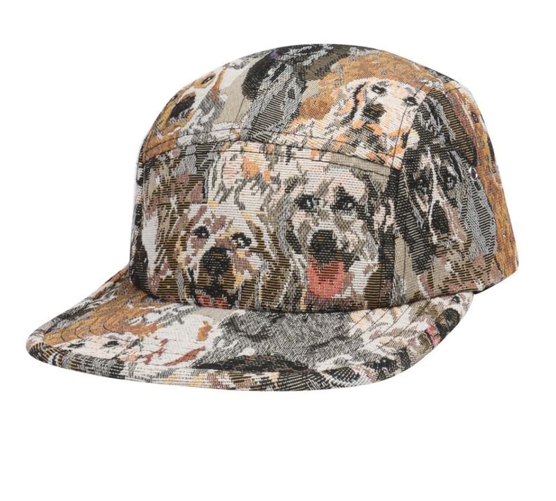 Cartoon Dog Hat