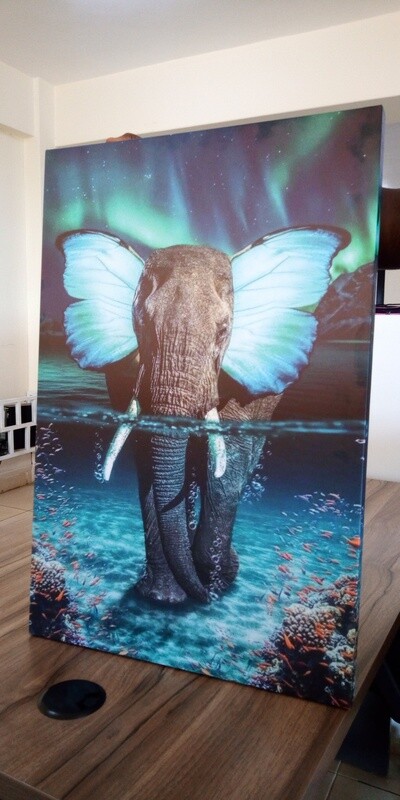 Baby Elephant in water canvas print 40x60cm