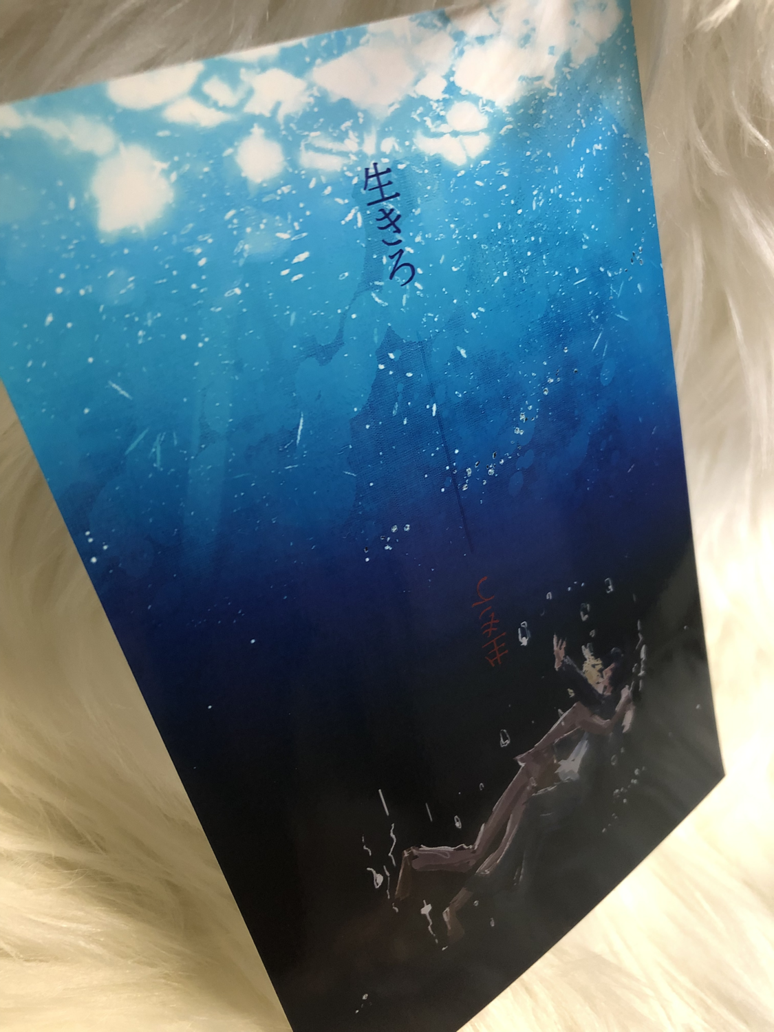 (Size: 4x6)