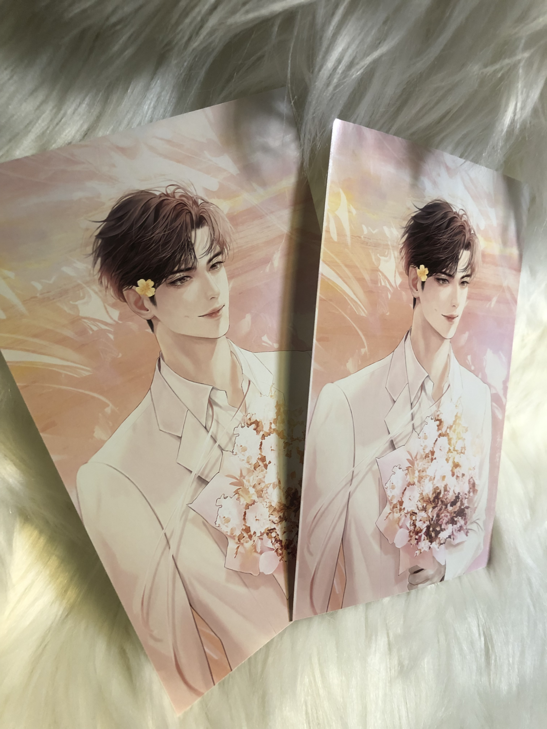 (Size: 4x6)