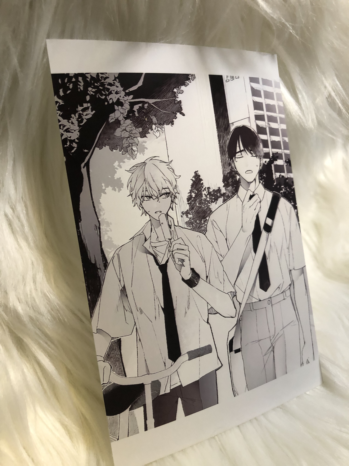 (Size: 4x6)